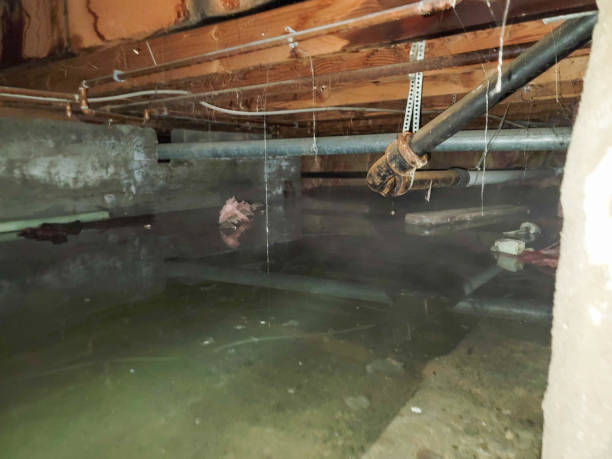 Best Emergency water damage restoration  in Brices Creek, NC