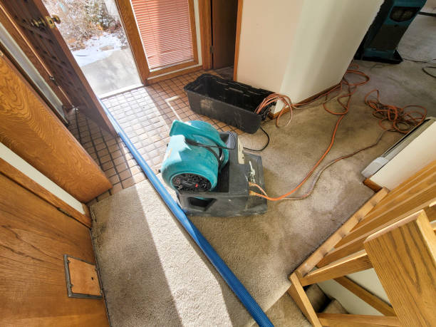 Best 24-hour water damage restoration  in Brices Creek, NC