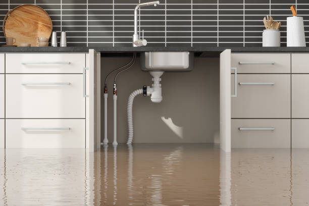 Best Water damage contractors near me  in Brices Creek, NC