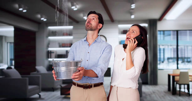 Best Fire Damage Restoration  in Brices Creek, NC